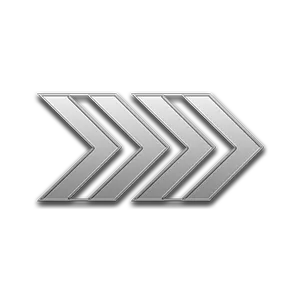 rank_icon