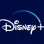 Disney Private Profile - 12 Months